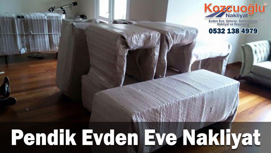Pendik Evden Eve Nakliyat ekibi ve taşıma planı